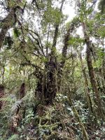 Wanderung im Savegre Tal - San Gerardo de Dota