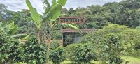 15 Kaffeefarm Mi Cafecito &ndash; &copy; Susanne Schirmann (Eberhardt TRAVEL)