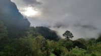 246 – Costa Rica, San Gerardo de Dota, Wanderung