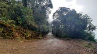 247 – Costa Rica, San Gerardo de Dota, Wanderung
