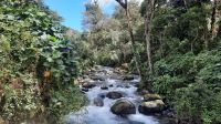 258 – Costa Rica, San Gerardo de Dota, Wanderung