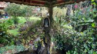 262 – Costa Rica, San Gerardo de Dota, Wanderung