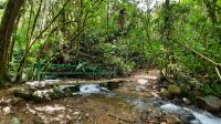 264 – Costa Rica, San Gerardo de Dota, Wanderung