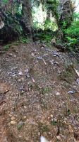 265 – Costa Rica, San Gerardo de Dota, Wanderung