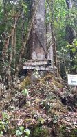 266 – Costa Rica, San Gerardo de Dota, Wanderung