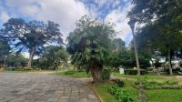 296 – Costa Rica, San Jeso, Park, Monstera