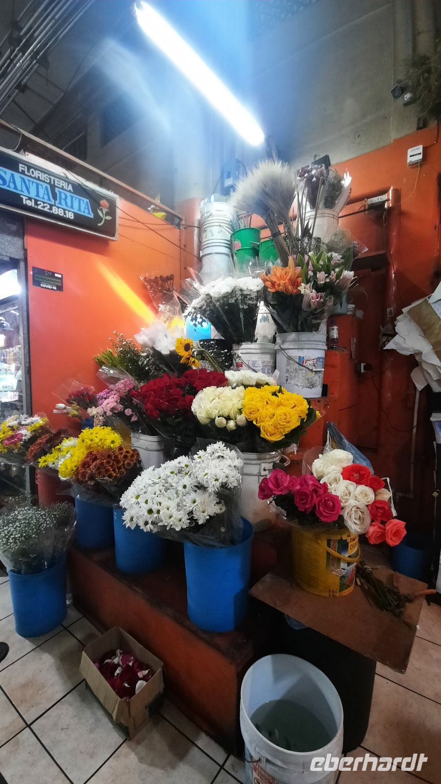 310 – Costa Rica, San Jeso, Zentralmarkt