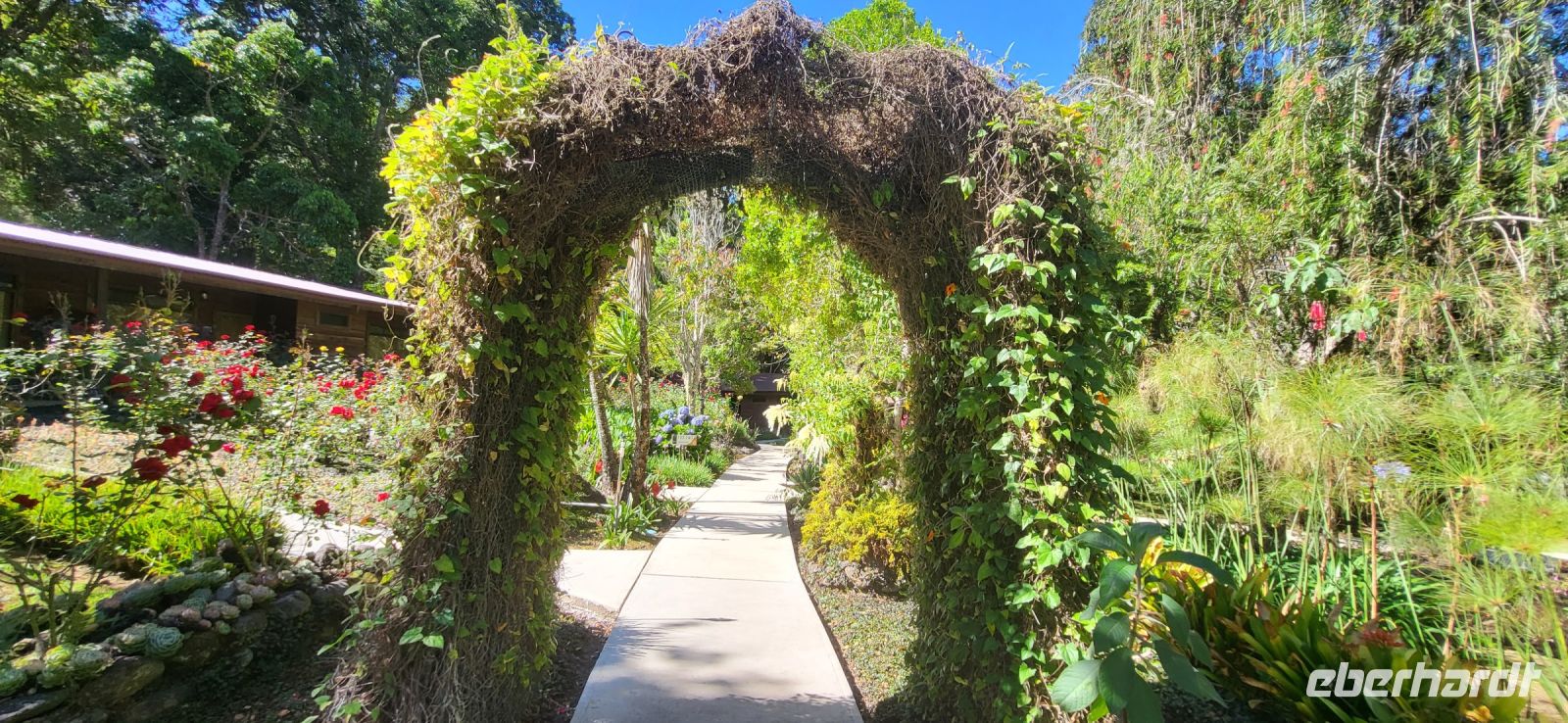 310 unser Garten