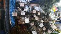 311 – Costa Rica, San Jeso, Zentralmarkt