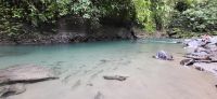 37 Forellen im Fluss