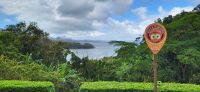 47 Landschaft am Arenal See