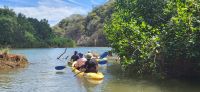 65 Kajaktour auf dem Fluss