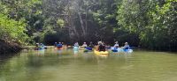 66 Kajaktour auf dem Fluss