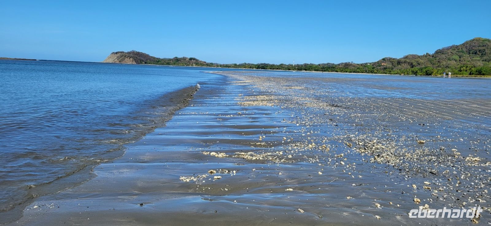 82 Strandspaziergang bei Ebbe