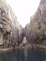 VESTMANNA VOGELKLIPPEN