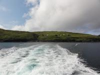 VESTMANNA VOGELKLIPPEN