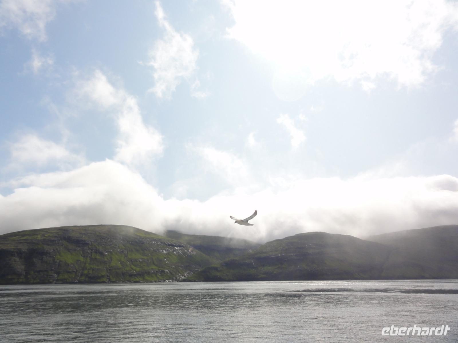 VESTMANNA VOGELKLIPPEN