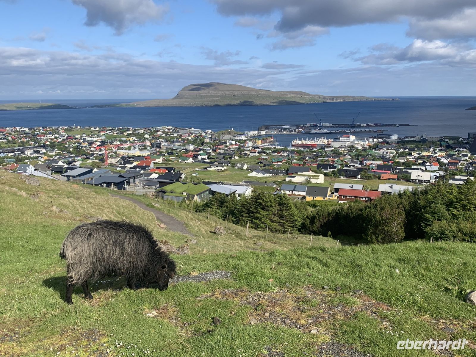 Blick auf Torshavn - Färöer Inseln