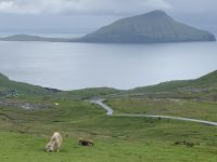 Blick auf Koltur - Färöer Inseln