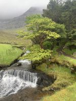 Wanderung auf Kunoy - Färöer Inseln