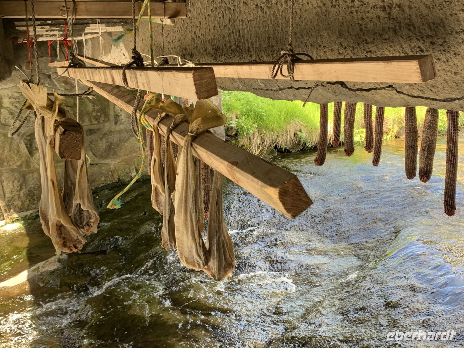 Trockenfisch und Trockensalami vom Wal - Kvivik - Insel Streymoy - Färöer Inseln