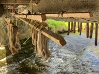 Trockenfisch und Trockensalami vom Wal - Kvivik - Insel Streymoy - Färöer Inseln