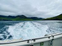 Faröer - Ausflug Vogelinsel Mykines