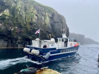 Faröer - Ausflug Vogelinsel Mykines