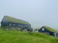 Faröer - Ausflug Vogelinsel Mykines