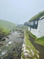 Faröer - Ausflug Vogelinsel Mykines