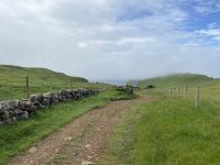 Faröer - Ausflug Vogelinsel Mykines