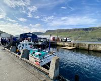 Faröer - Ruderregatta Hafen Sørvágur