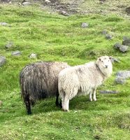 Faröer - Insel Nolsoy 