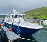 Faröer - Vestmänna Bootstour zu den Vogelfelsen