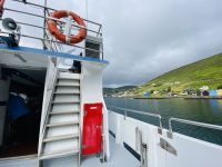 Faröer - Vestmänna Bootstour zu den Vogelfelsen