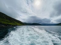 Faröer - Vestmänna Bootstour zu den Vogelfelsen