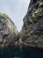 Faröer - Vestmänna Bootstour zu den Vogelfelsen
