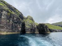 Faröer - Vestmänna Bootstour zu den Vogelfelsen