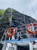 Faröer - Vestmänna Bootstour zu den Vogelfelsen