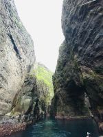 Faröer - Vestmänna Bootstour zu den Vogelfelsen