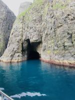 Faröer - Vestmänna Bootstour zu den Vogelfelsen