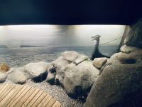 Faröer - Vestmänna Saga-Museum