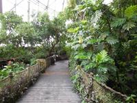 Regenwald in Randers 