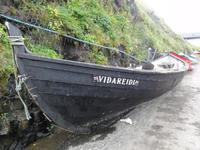 Viðareiði
