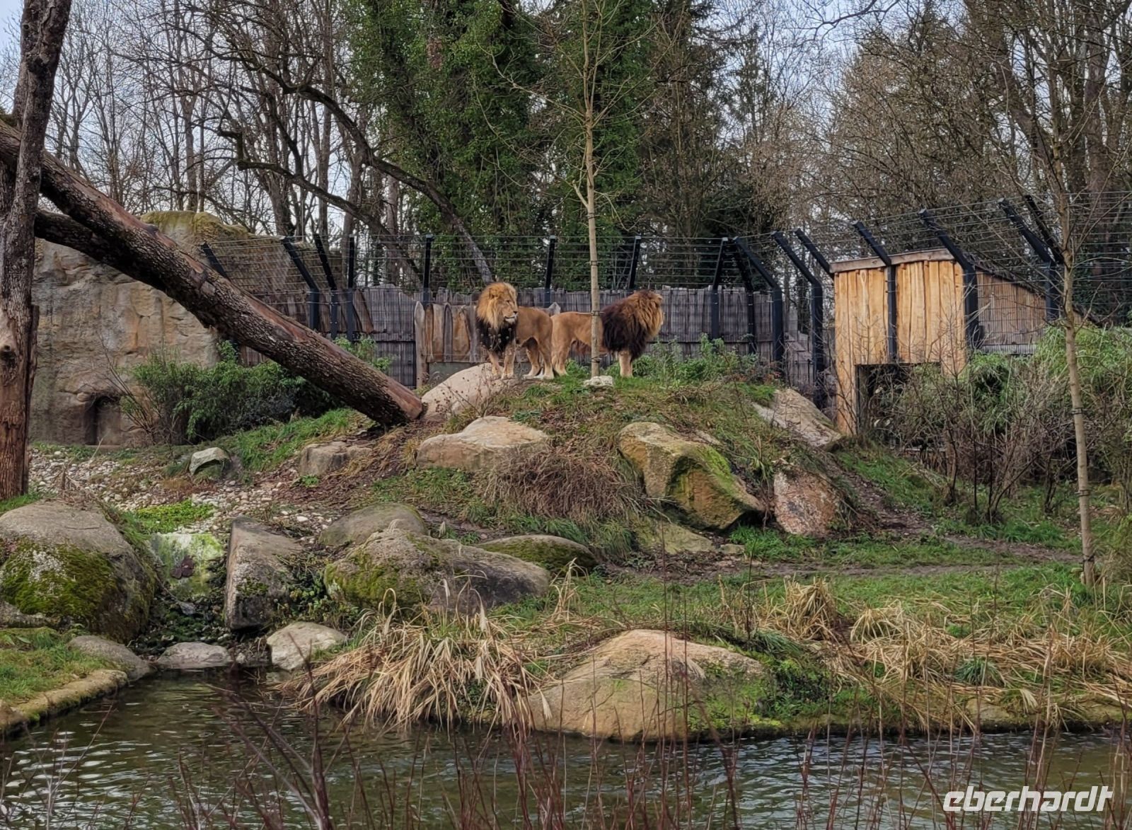 0403 Tierpark Hellabrunn