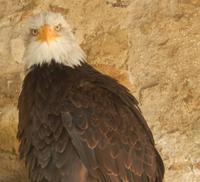 2 Tage Treuekundenfahrt Harz: Wernigerode und Fahrt auf den Brocken