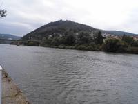 Blick auf den Neckar