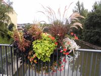 Brückenschmuck am Neckar