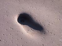 Heidelberg- Kavalierssprung