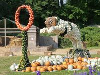 Kürbisausstellung Ludwigsburg